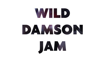 wild damson jam