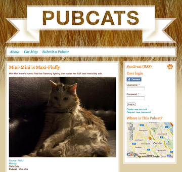 pubcats